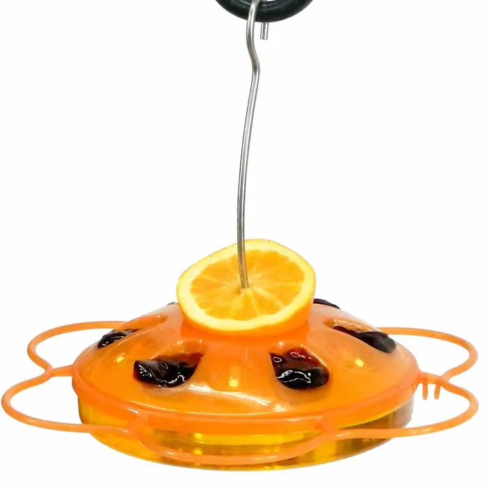 3 in 1 Oriole Saucer Feeder