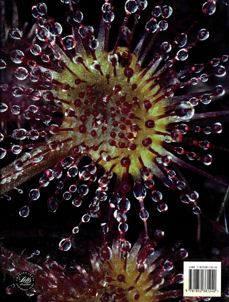 A Guide to Carnivorous Plants of the World