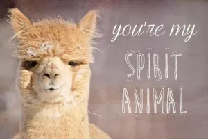 Alpaca Greeting Card - You're my Spirit Animal