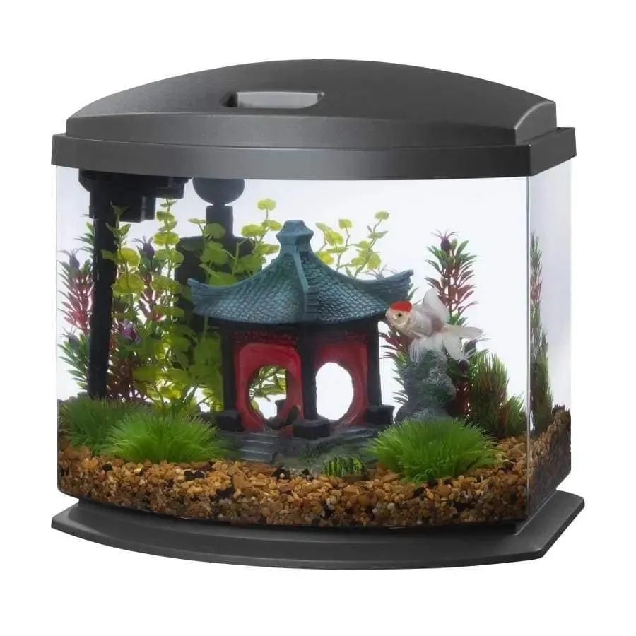 Aqueon LED MiniBow™ Fish Aquarium Kit with SmartClean™ Technology