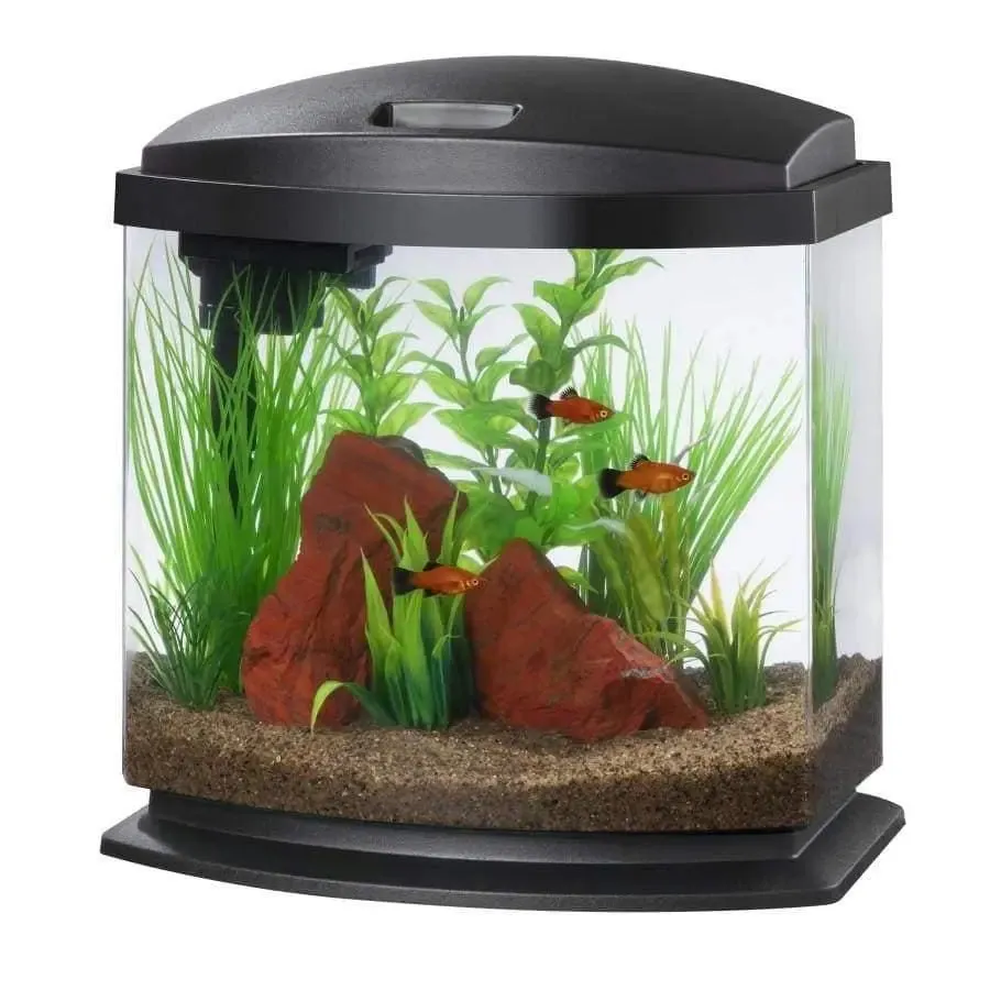 Aqueon LED MiniBow™ Fish Aquarium Kit with SmartClean™ Technology