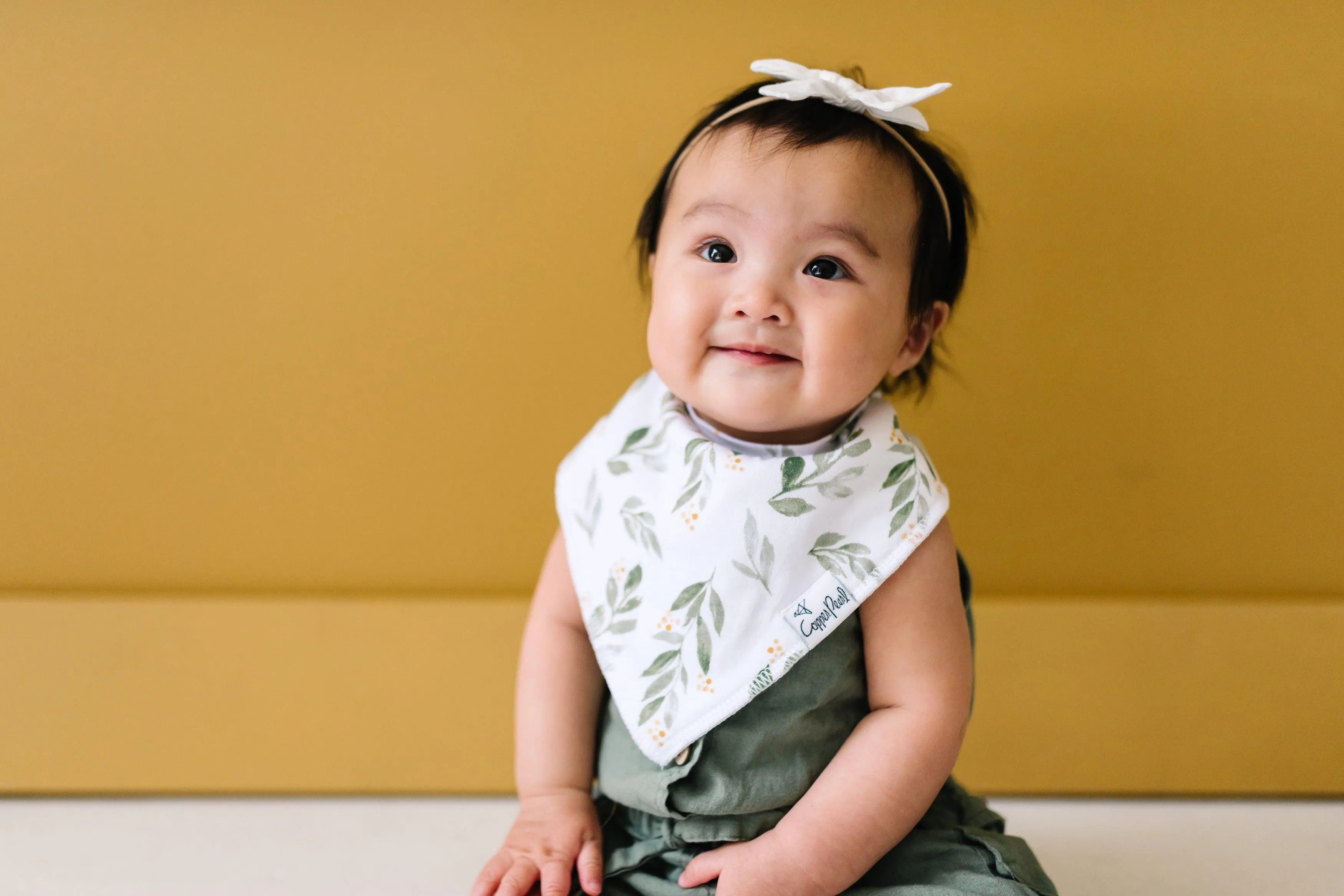 Baby Bandana Bibs - Hope