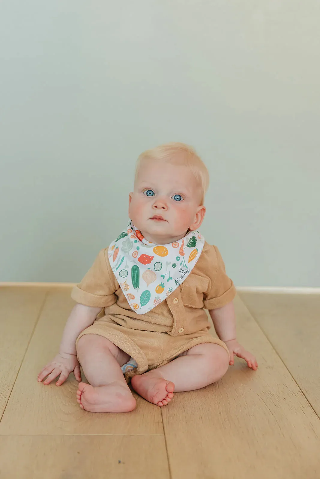 Baby Bandana Bibs - Veggies