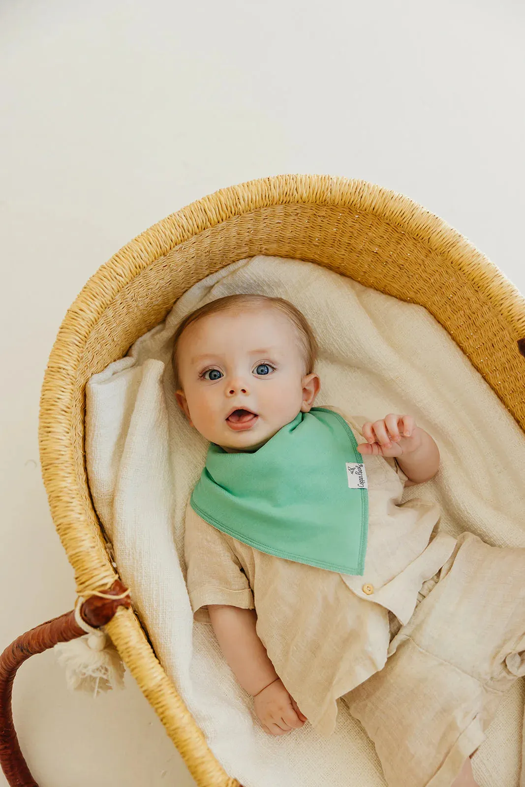 Baby Bandana Bibs - Veggies