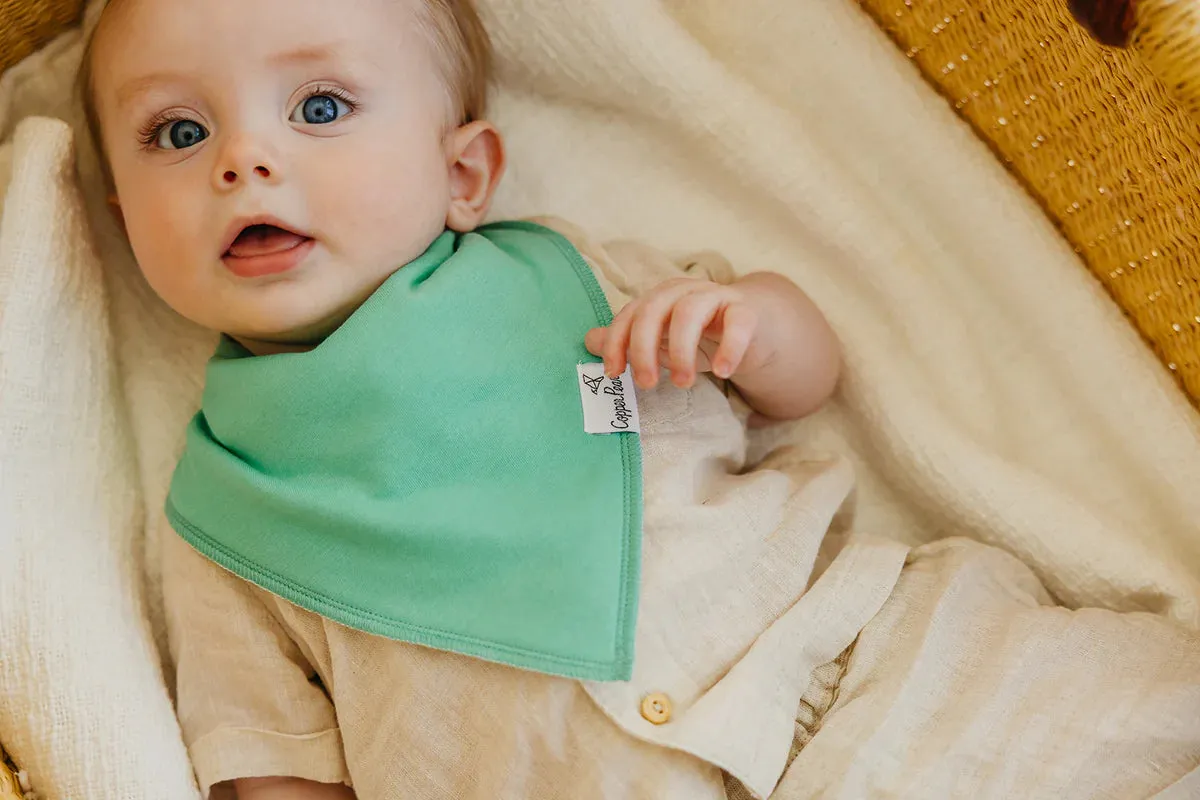 Baby Bandana Bibs - Veggies