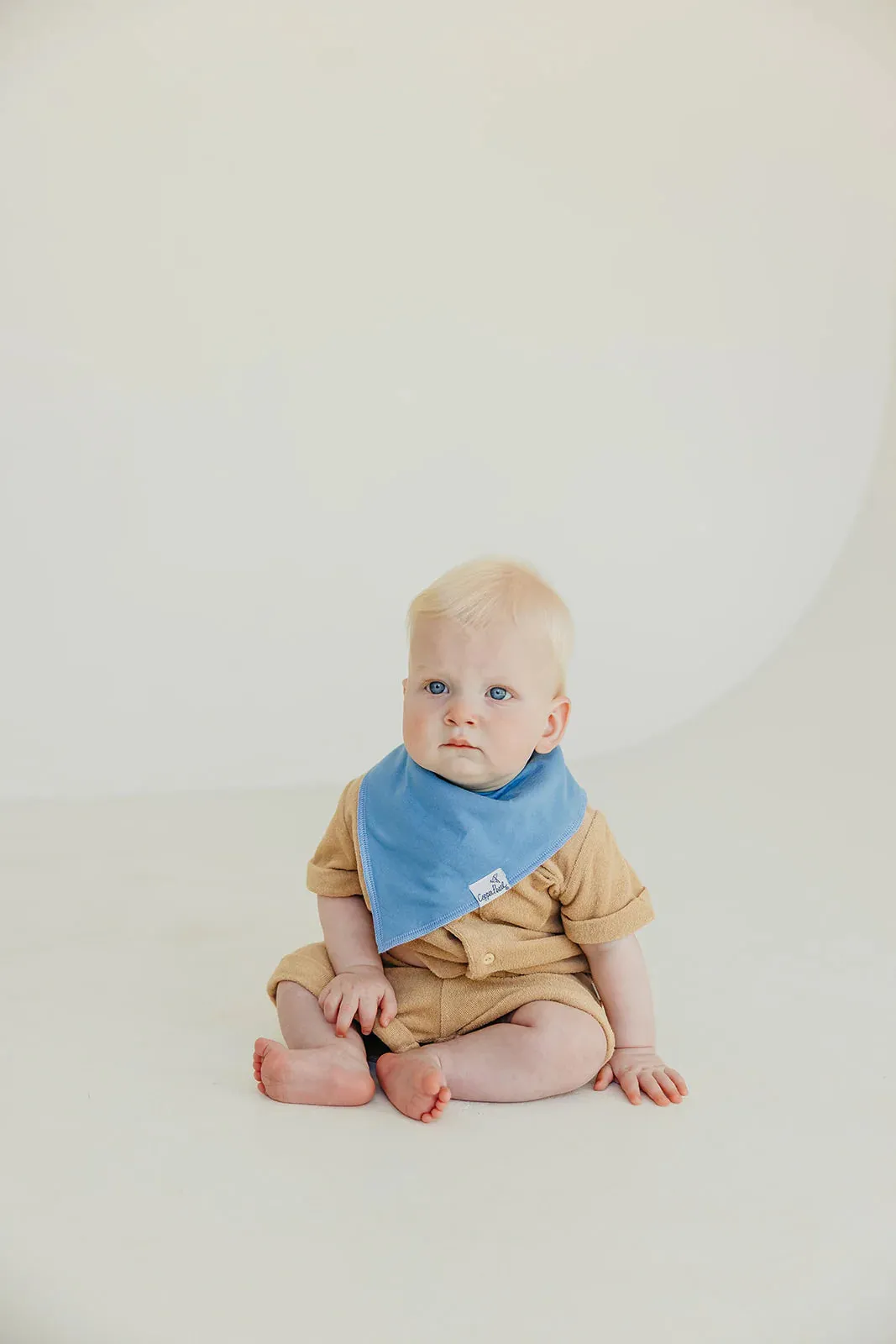 Baby Bandana Bibs - Veggies