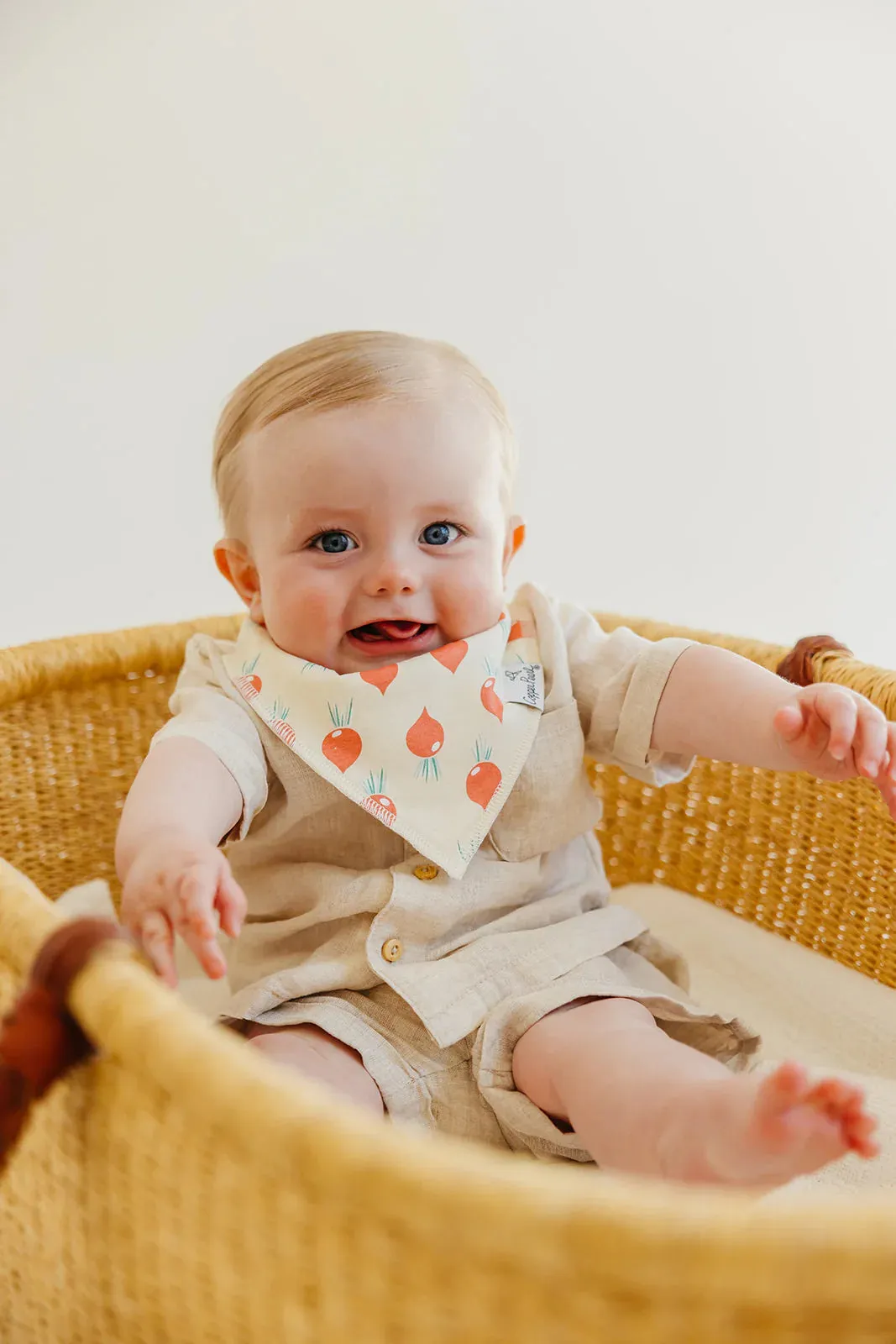 Baby Bandana Bibs - Veggies