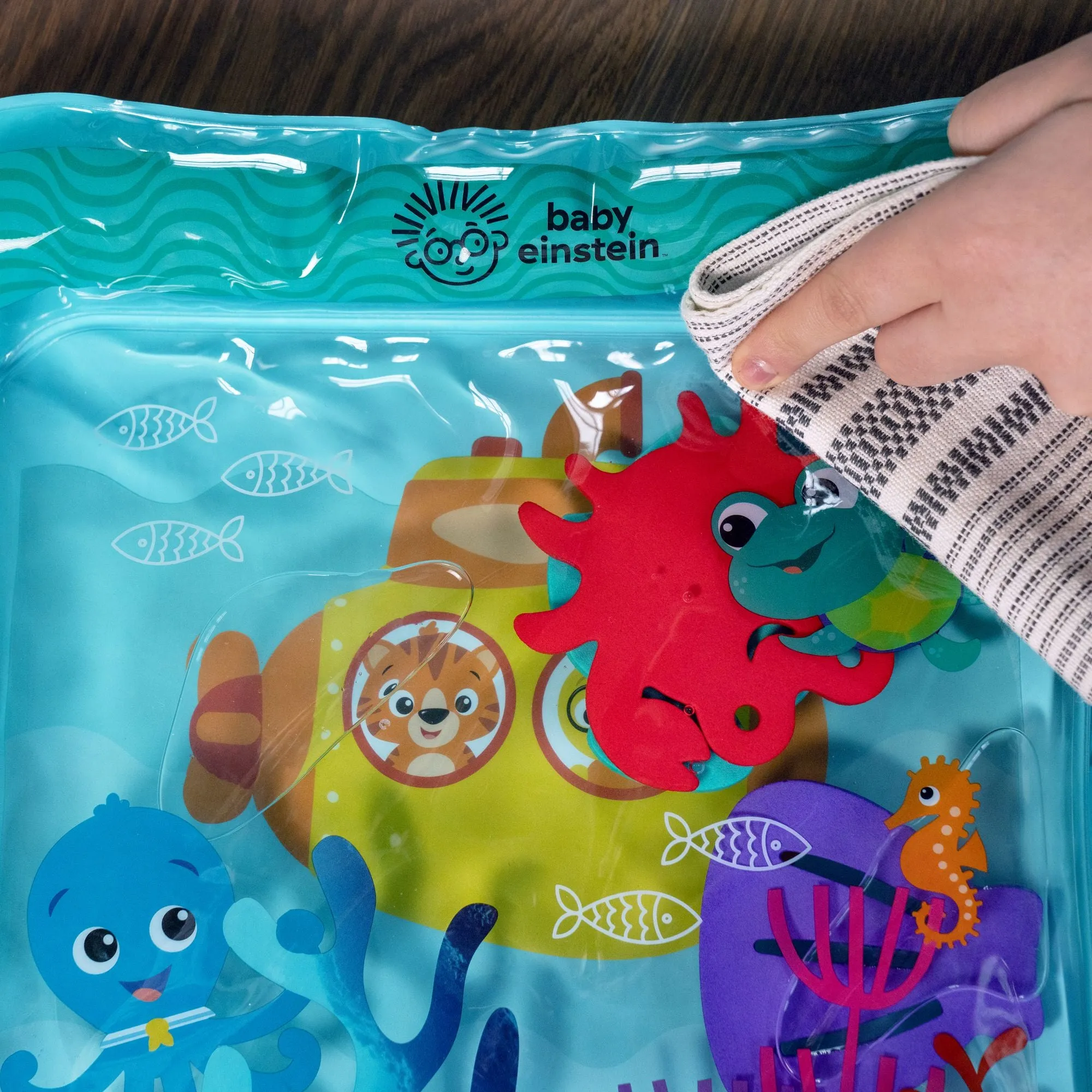 Baby Einstein Sensory Splash Water Mat