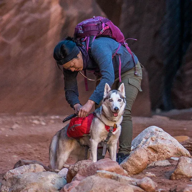 Baxter Dog Backpack