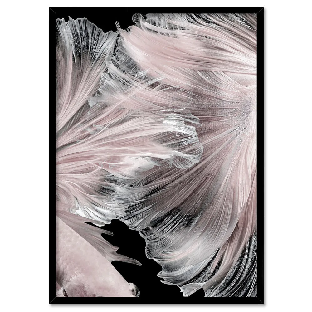 Betta Pair in Pale Pink & Black I - Art Print