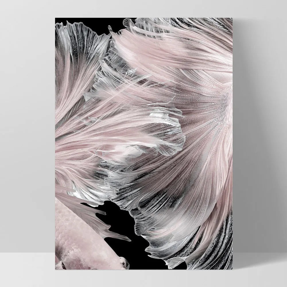 Betta Pair in Pale Pink & Black I - Art Print