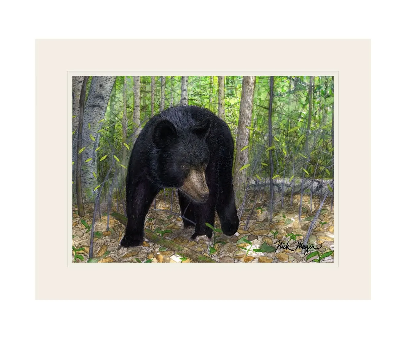 Black Bear Print