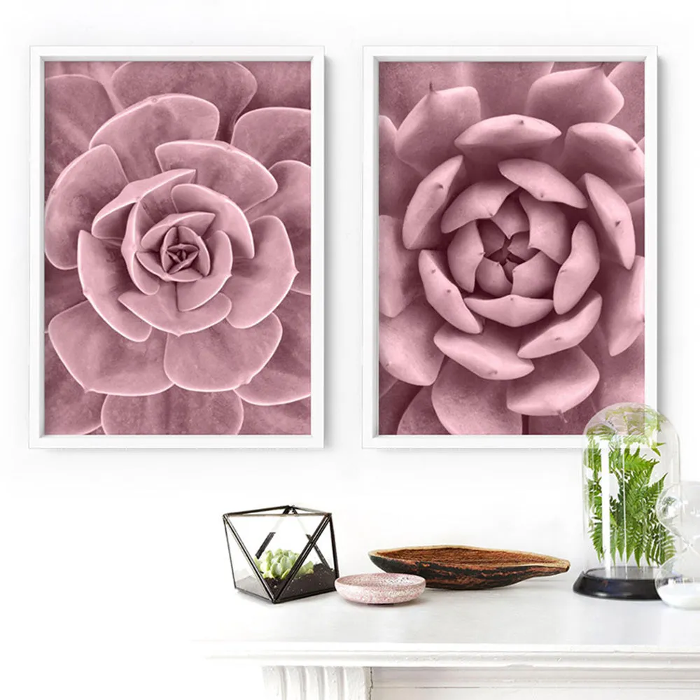 Blush Succulent III - Art Print