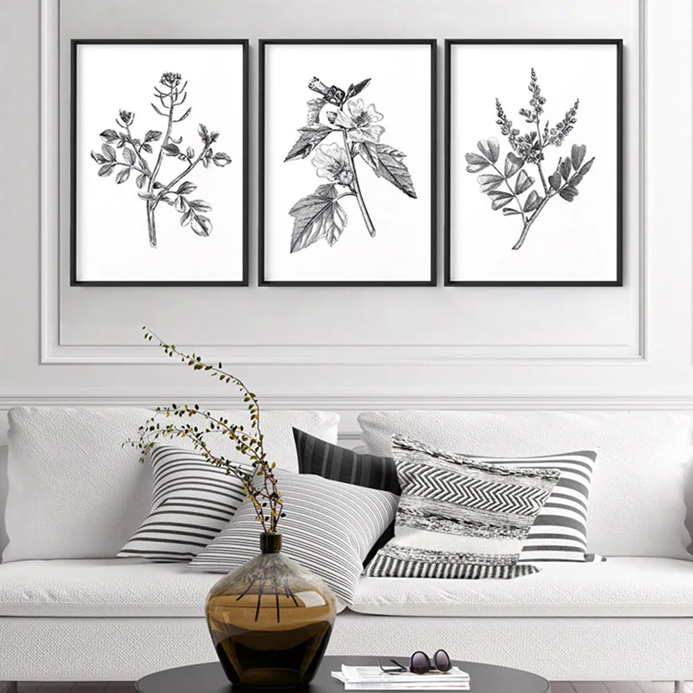 Botanical Floral Illustration II - Art Print