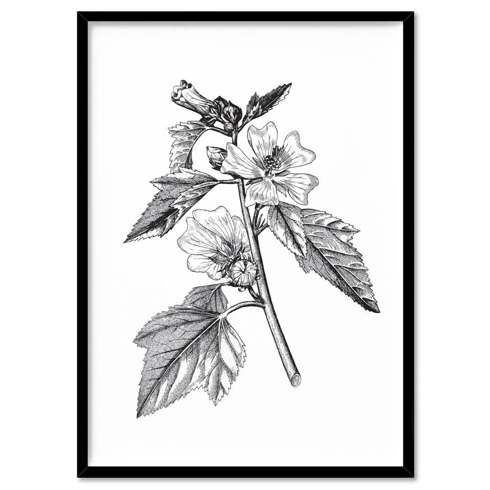 Botanical Floral Illustration II - Art Print