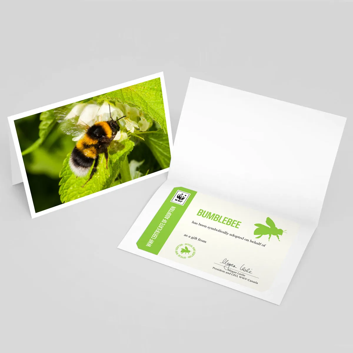 Bumblebee adoption card