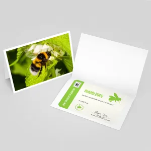 Bumblebee adoption card