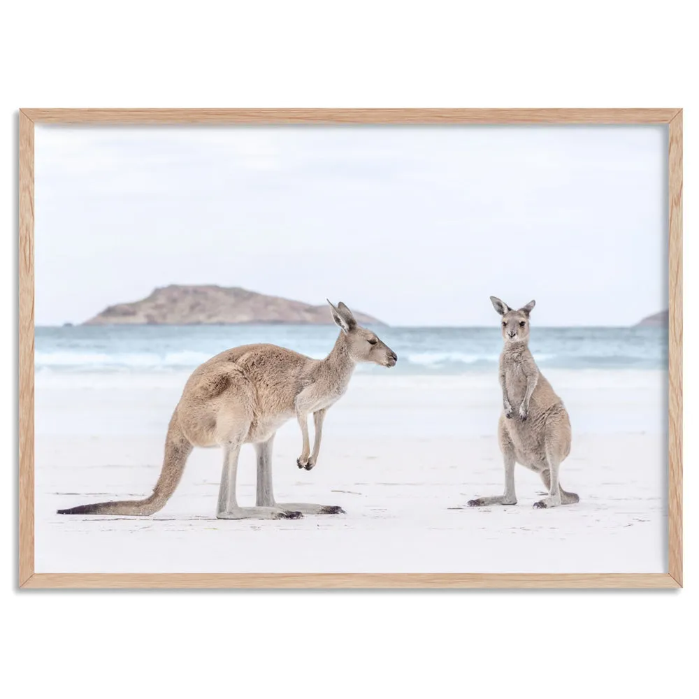 Coastal Beach Kangaroos III - Art Print