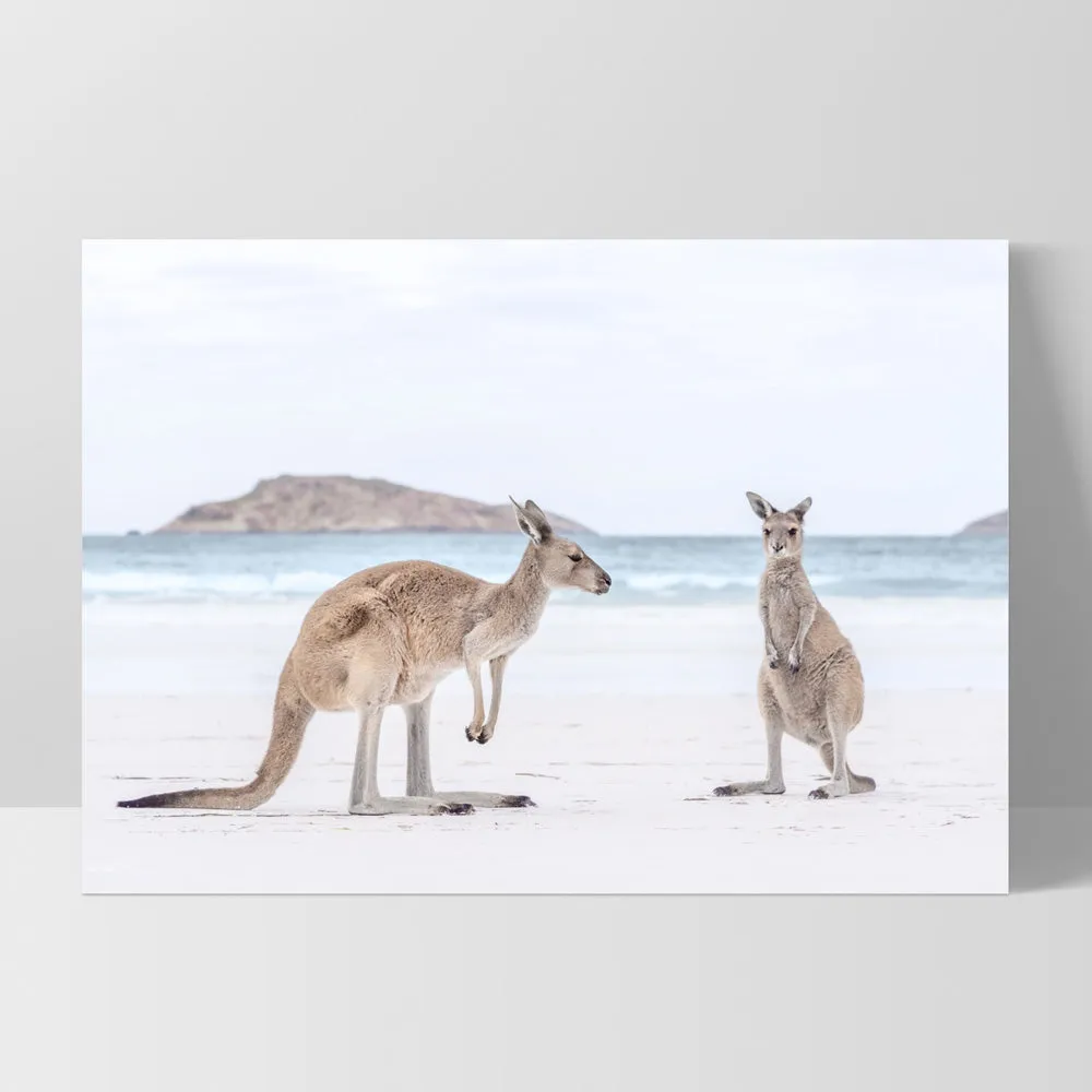 Coastal Beach Kangaroos III - Art Print