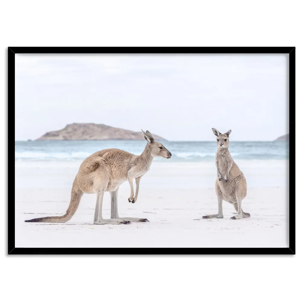 Coastal Beach Kangaroos III - Art Print