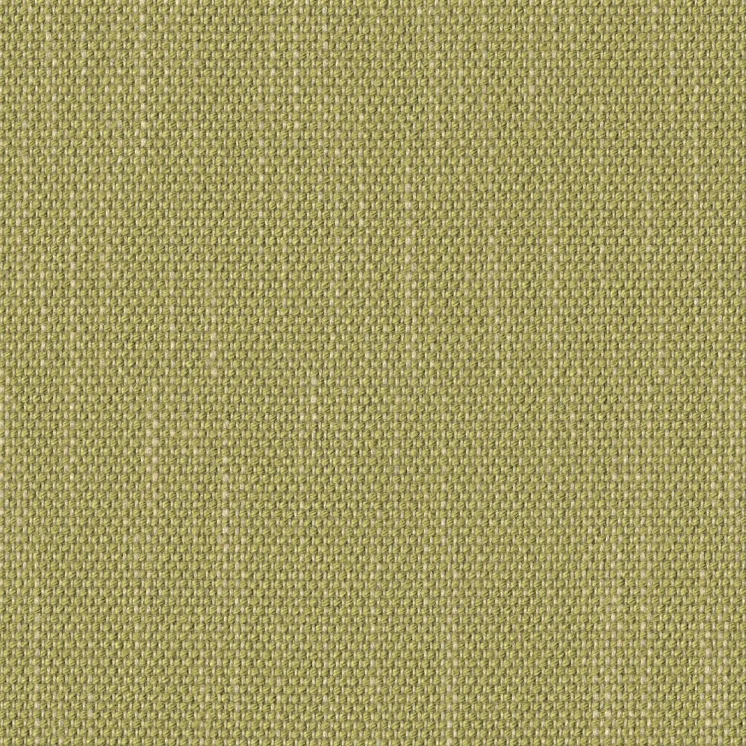 Contrast Slub - Lemongrass - 4115 - 16