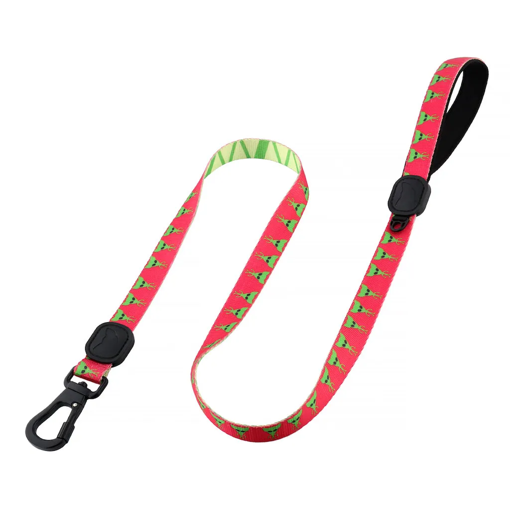 Doggieliens Premium Dog Leash