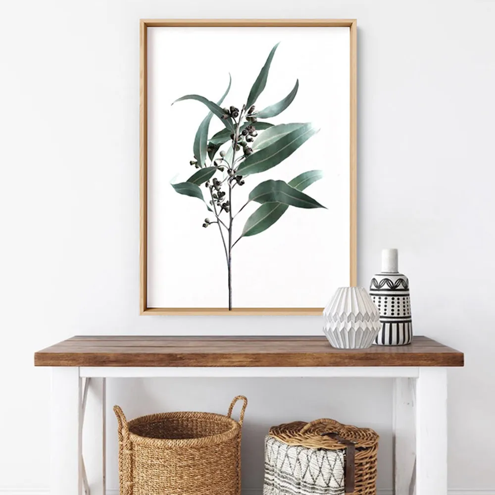 Dried Eucalyptus Leaves II - Art Print