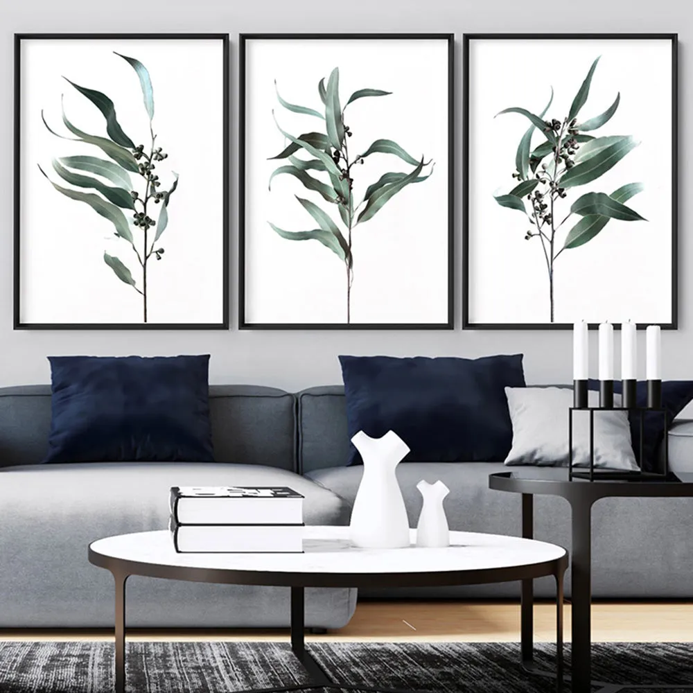 Dried Eucalyptus Leaves II - Art Print