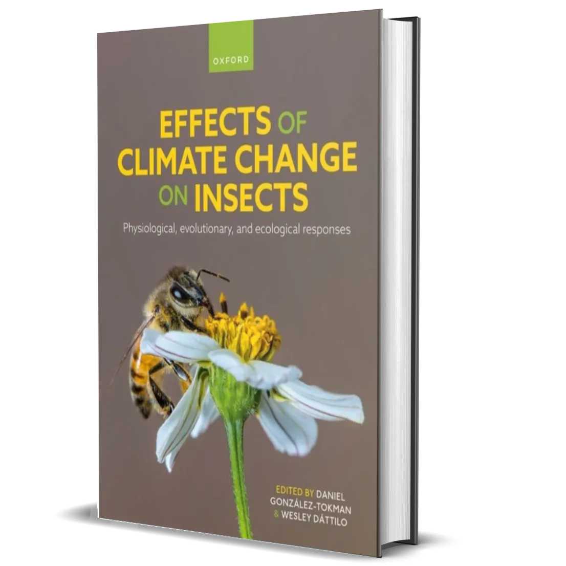 Effects of Climate Change on Insects: Physiological, Evolutionary, and Ecological Responses