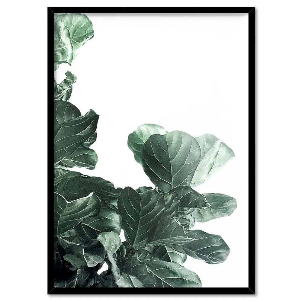 Fiddle Leaf Fig Watercolour III - Art Print