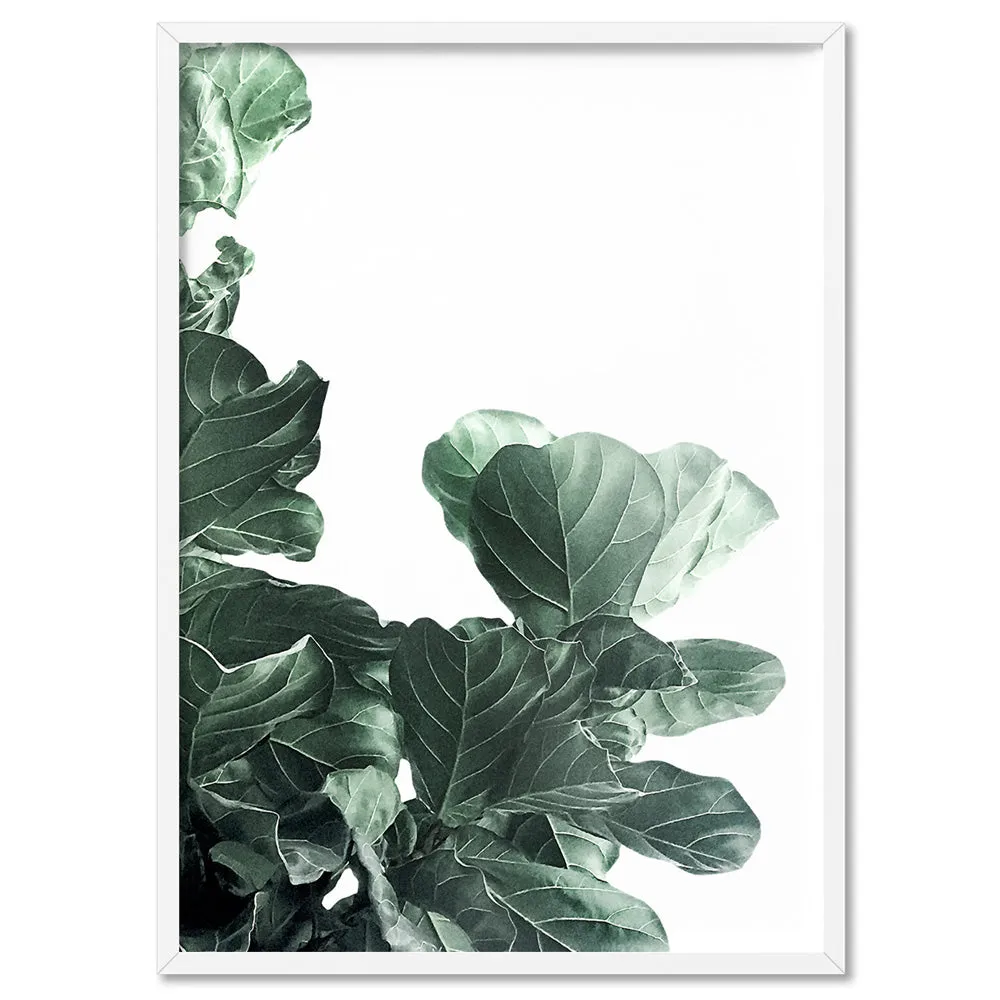 Fiddle Leaf Fig Watercolour III - Art Print