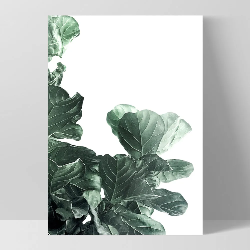 Fiddle Leaf Fig Watercolour III - Art Print