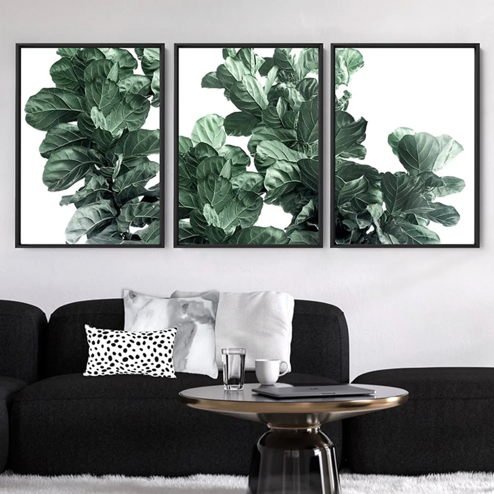 Fiddle Leaf Fig Watercolour III - Art Print