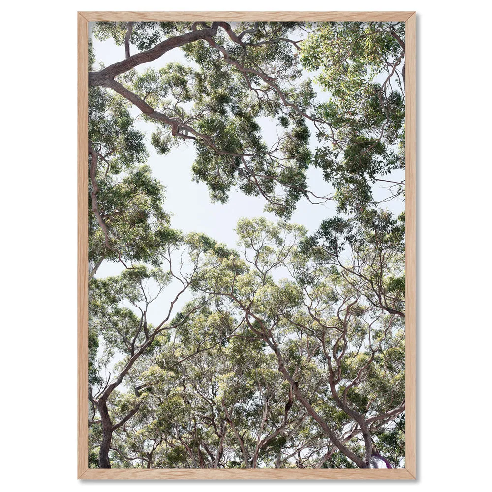 Gumtrees View III - Art Print