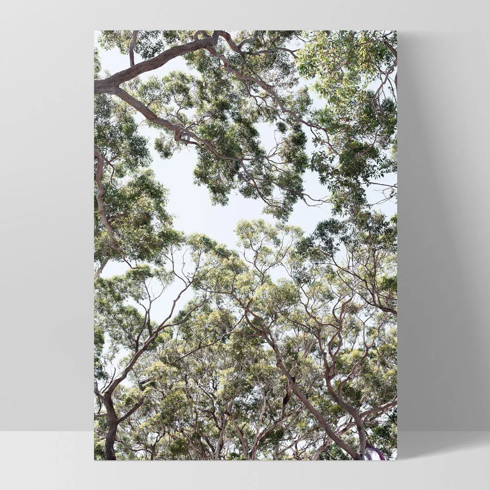 Gumtrees View III - Art Print