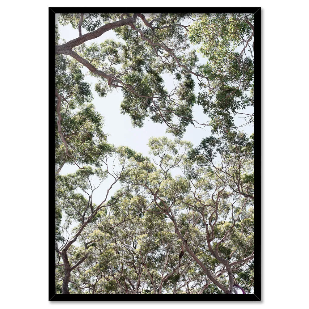 Gumtrees View III - Art Print