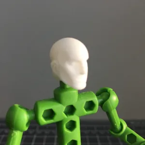 Human head for ModiBot figure kits