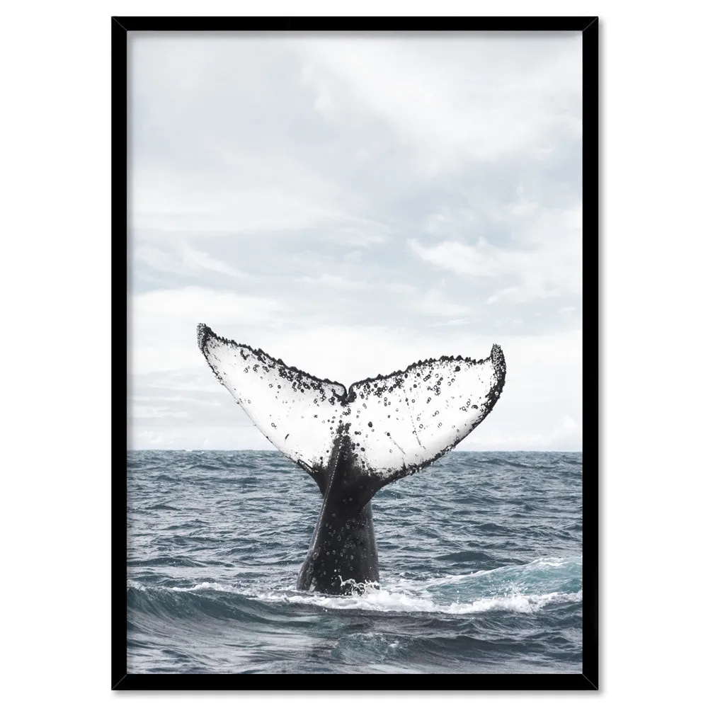 Humpback Whale Tail - Art Print