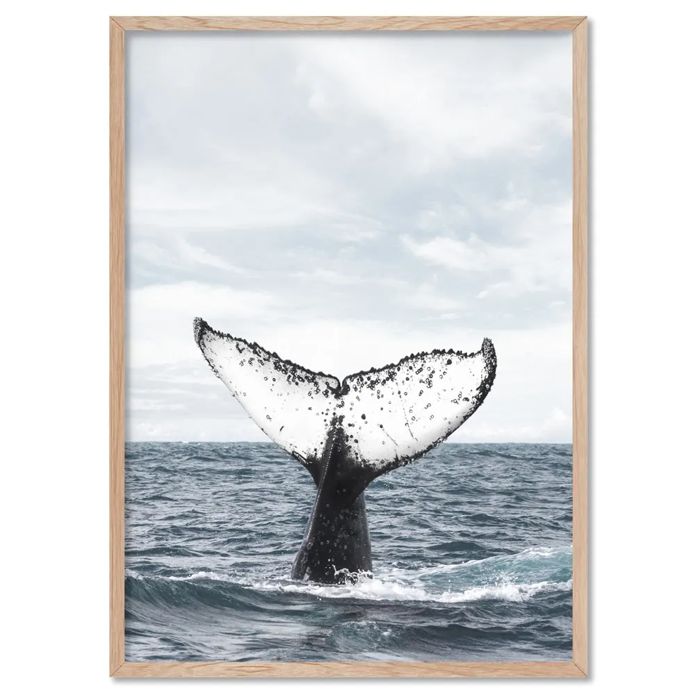 Humpback Whale Tail - Art Print