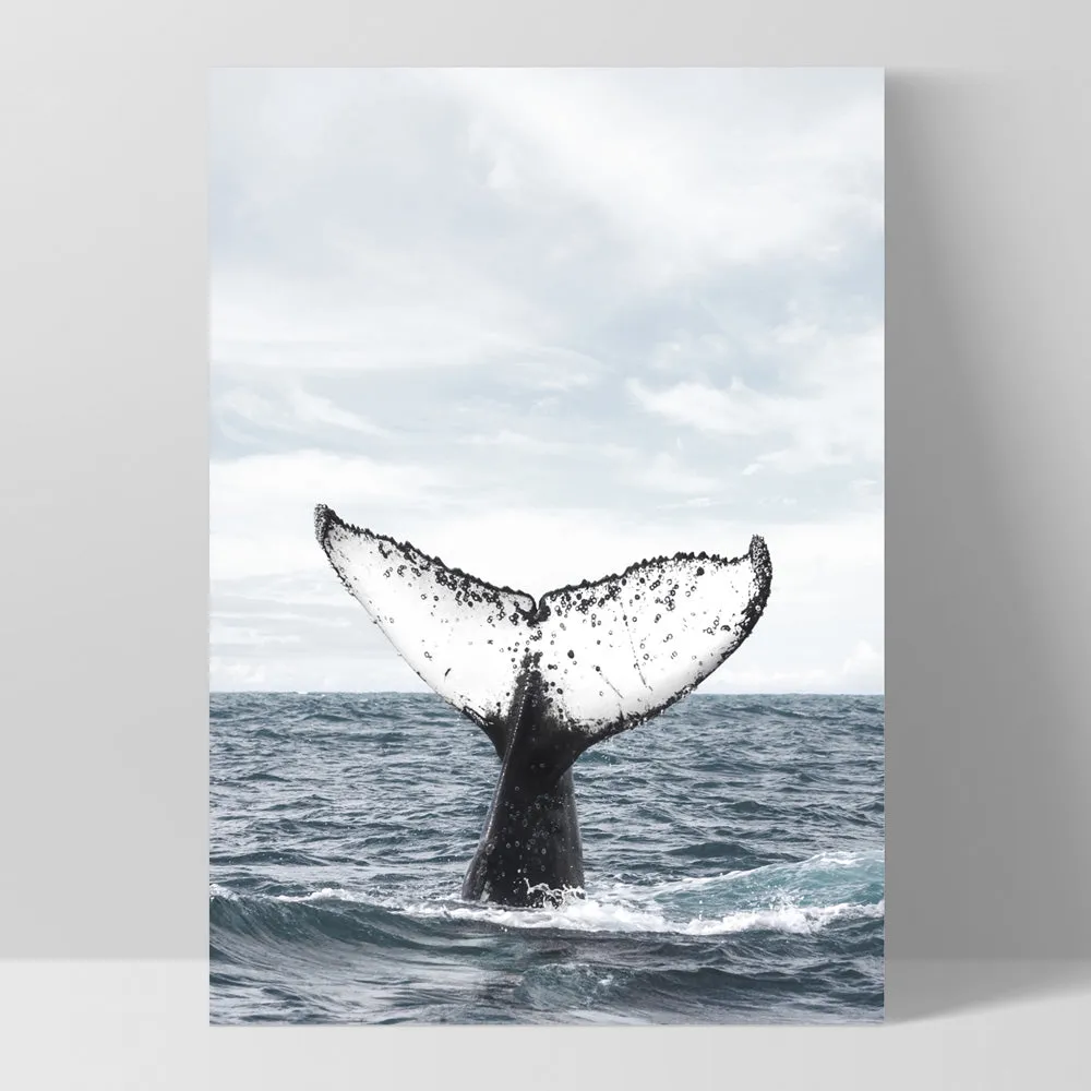 Humpback Whale Tail - Art Print