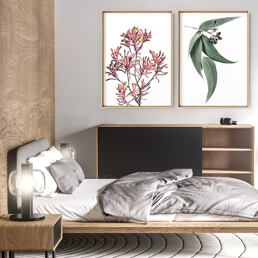 Kangaroo Paw in Pink - Art Print