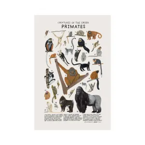 Kelzuki Primates Print