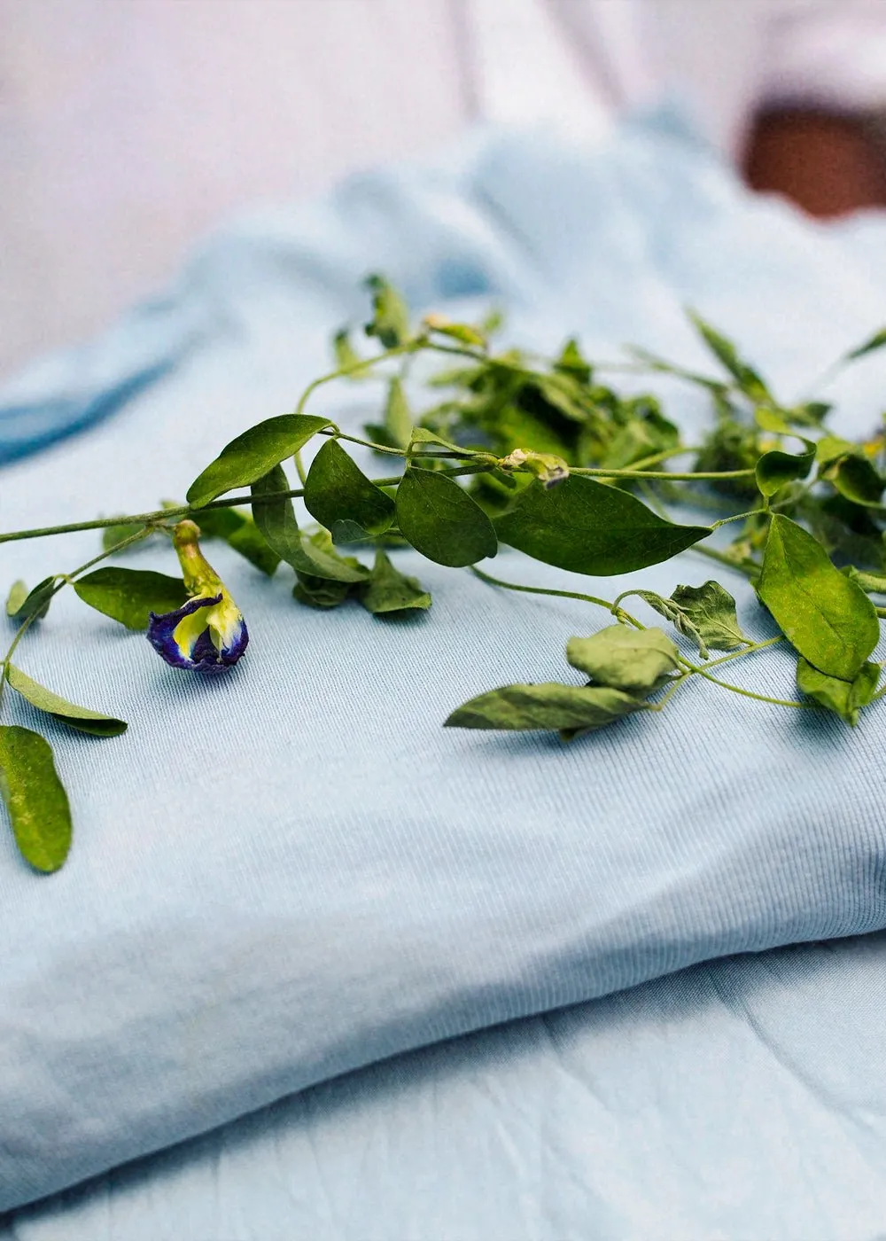 Powder Blue Baby Tee